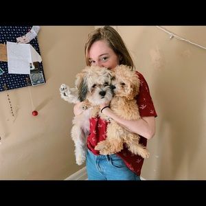 Meet your Posher, Megan